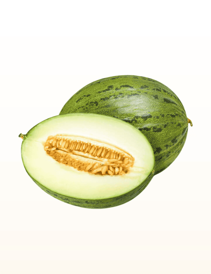 Melon Vert